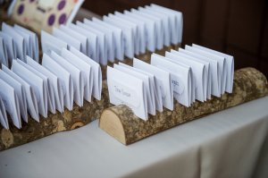 View More: http://hulsephoto.pass.us/michelle-david-wedding