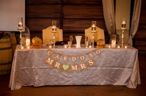 View More: http://hulsephoto.pass.us/michelle-david-wedding