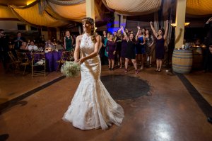 View More: http://hulsephoto.pass.us/michelle-david-wedding