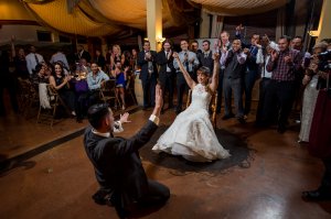 View More: http://hulsephoto.pass.us/michelle-david-wedding