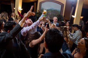 View More: http://hulsephoto.pass.us/michelle-david-wedding